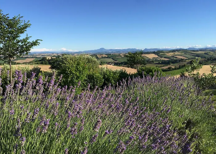 Solea Relais Di Charme- Adults Only